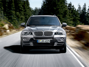 Защита передних фар прозрачная BMW X5 2004- (210020)